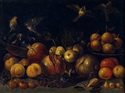 Natura morta con melograni, mele, pere, uva, fichi e uccelli da Tommaso Realfonso